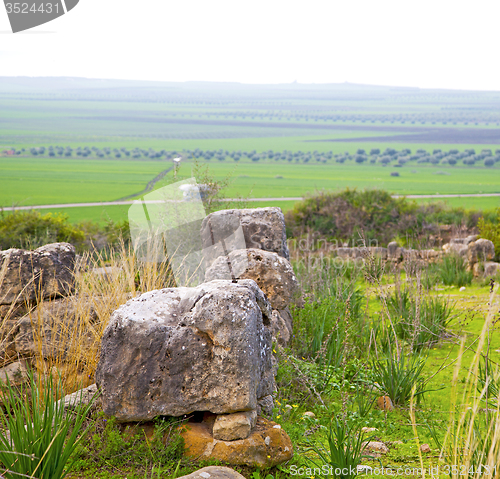 Image of volubilis in morocco africa the old roman deteriorated monument 