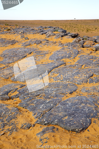 Image of  old fossil in  the desert of morocco sahara and rock  stone  