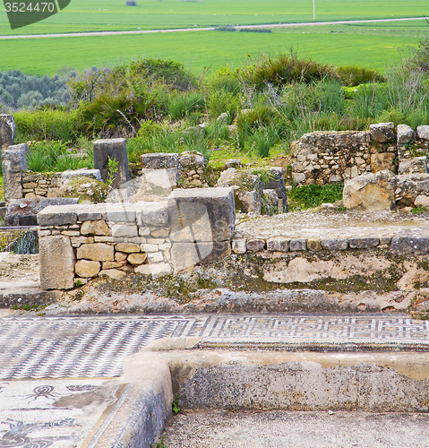 Image of volubilis in morocco africa the old roman deteriorated monument 