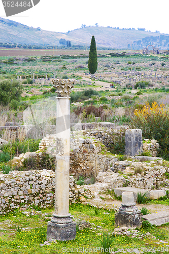 Image of volubilis    deteriorated monument and site