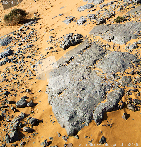 Image of  old fossil in  the desert of morocco sahara and rock  stone sky