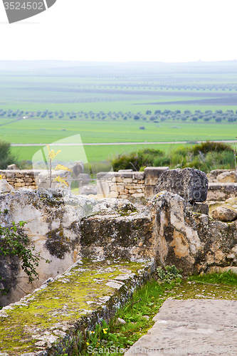 Image of volubilis in morocco africa the   monument and site