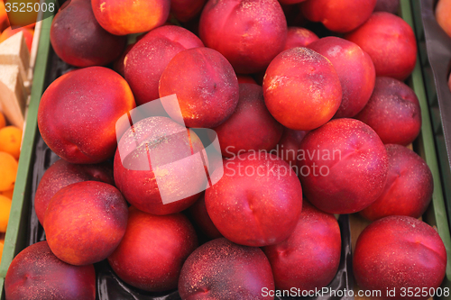 Image of Nectarines