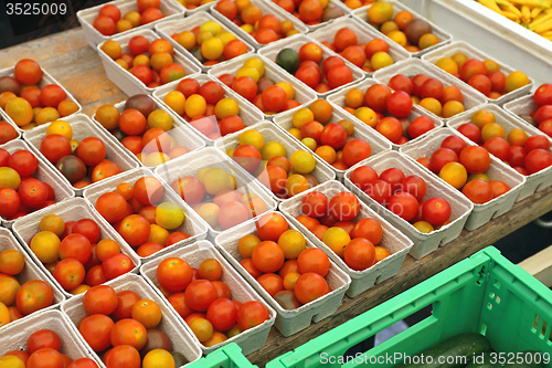 Image of Cherry Tomatoes