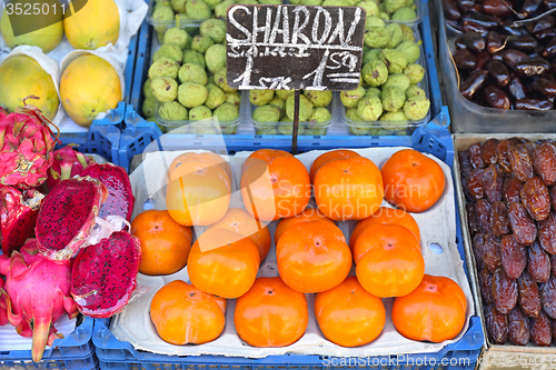 Image of Persimmon