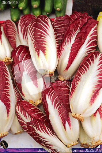 Image of Radicchio