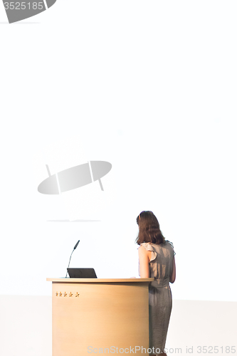 Image of Business woman making business presentation.