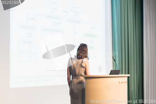 Image of Business woman making business presentation.