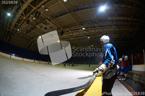 Image of ice hockey players on bench