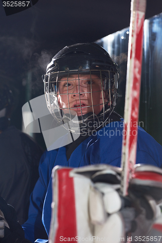 Image of ice hockey players on bench