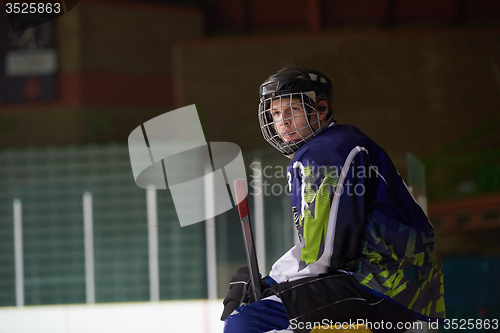 Image of ice hockey players on bench