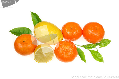 Image of Colorful fruit