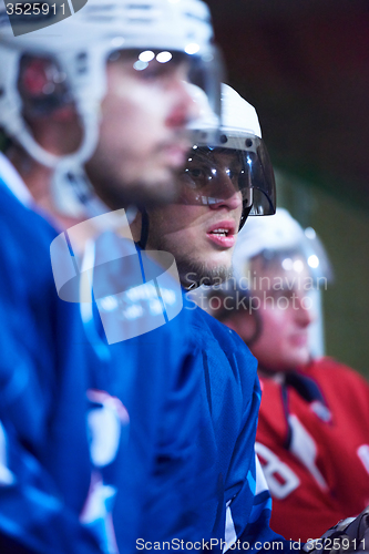 Image of ice hockey players on bench