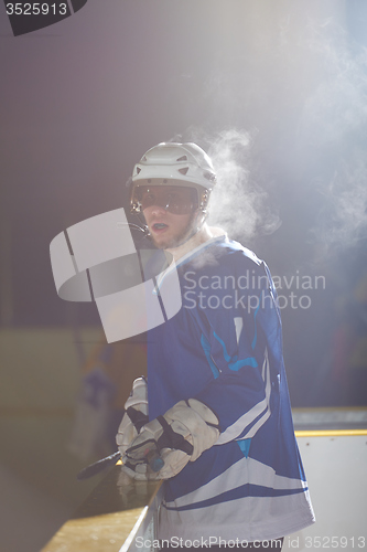 Image of ice hockey players on bench