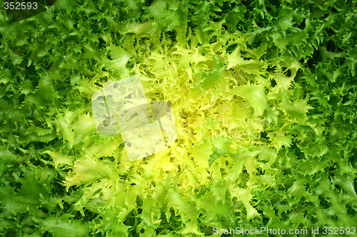 Image of Vegetable texture
