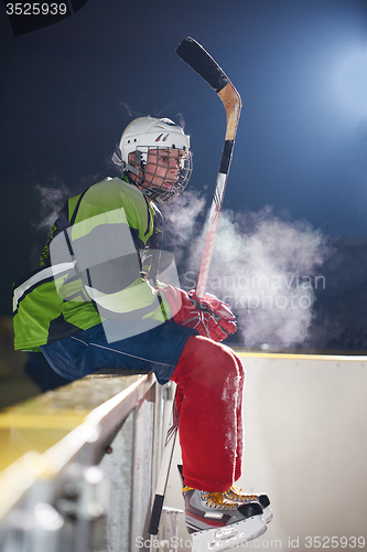 Image of ice hockey players on bench