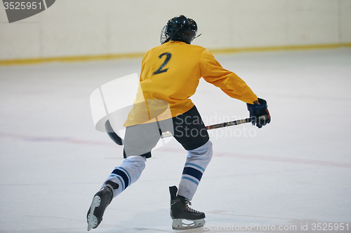 Image of ice hockey player in action