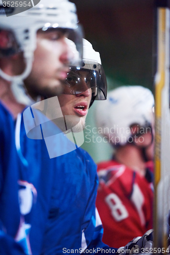 Image of ice hockey players on bench