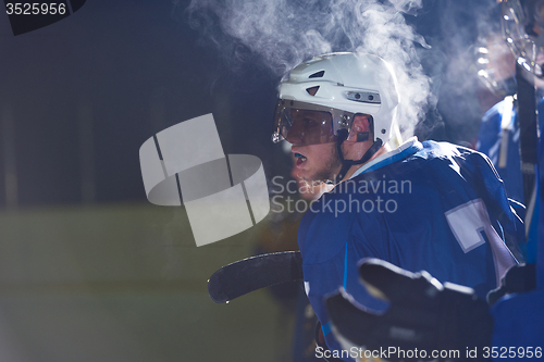 Image of ice hockey players on bench