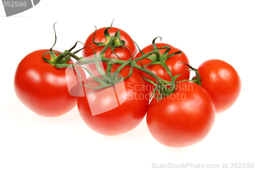 Image of Red tomatos