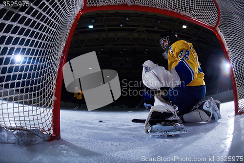 Image of ice hockey goalkeeper