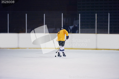 Image of ice hockey player in action