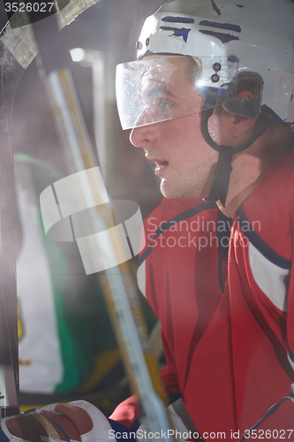 Image of ice hockey players on bench