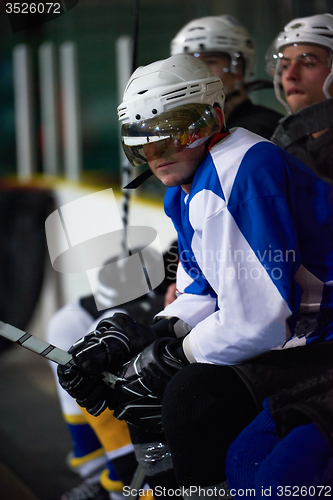 Image of ice hockey players on bench