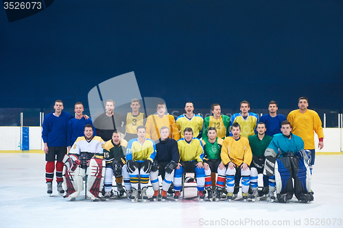 Image of ice hockey players team portrait