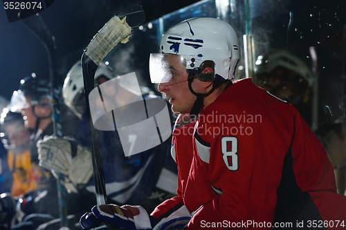 Image of ice hockey player portrait