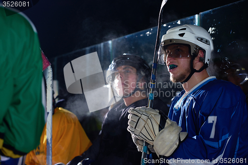 Image of ice hockey player portrait