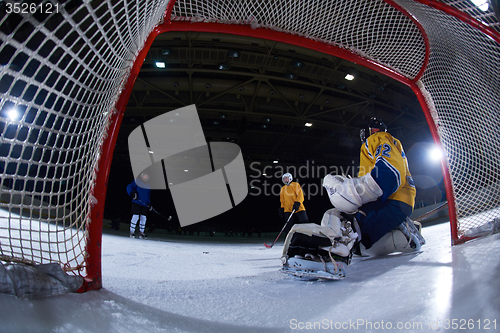 Image of ice hockey goalkeeper