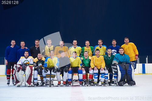 Image of ice hockey players team portrait