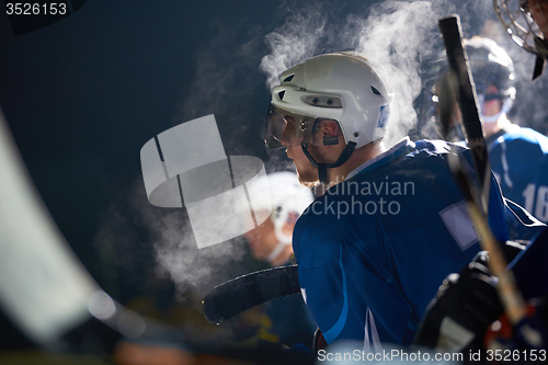 Image of ice hockey players on bench