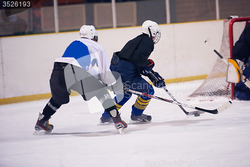 Image of ice hockey sport players