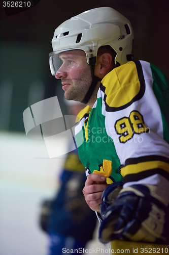 Image of ice hockey players on bench