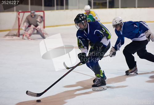 Image of ice hockey sport players