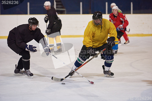 Image of ice hockey sport players