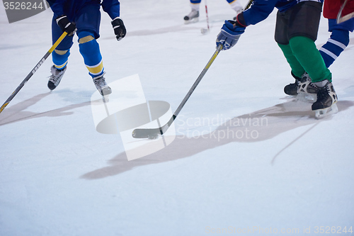 Image of ice hockey sport players