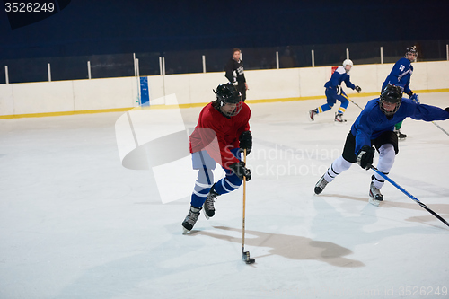 Image of ice hockey sport players