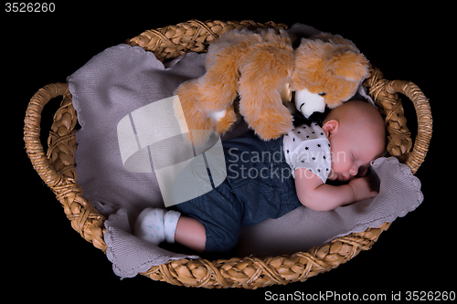 Image of Newborn sleeping