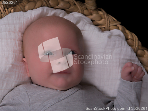 Image of Newborn portrait