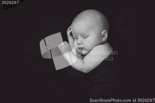 Image of Newborn sleeping
