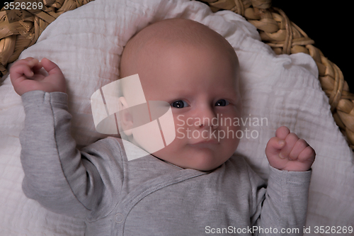 Image of Newborn portrait