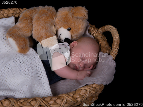 Image of Newborn sleeping