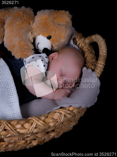 Image of Newborn sleeping