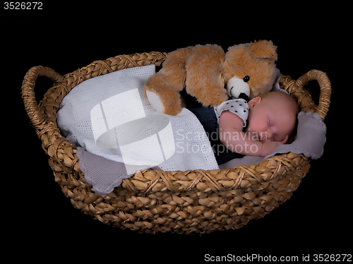 Image of Newborn sleeping