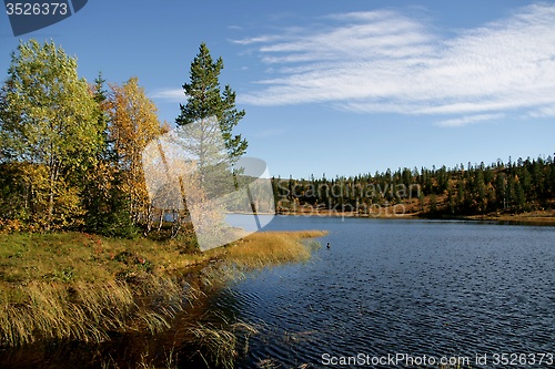 Image of Tarn