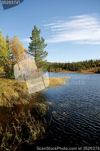 Image of Tarn