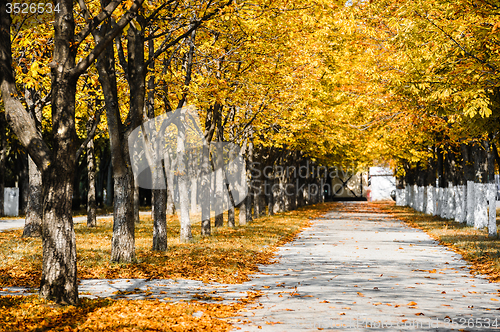Image of Autumn park alley